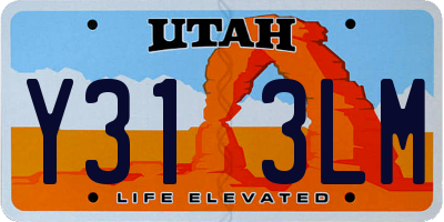 UT license plate Y313LM