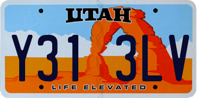 UT license plate Y313LV