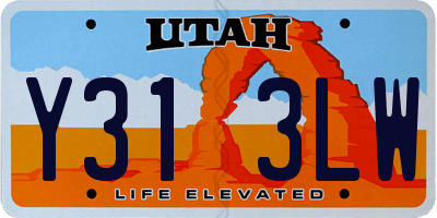 UT license plate Y313LW