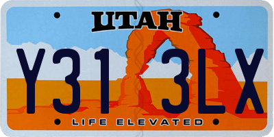 UT license plate Y313LX