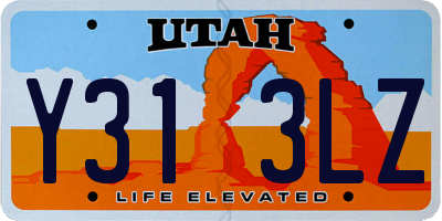 UT license plate Y313LZ