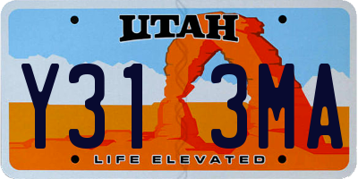 UT license plate Y313MA