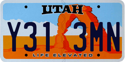 UT license plate Y313MN