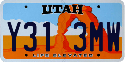 UT license plate Y313MW
