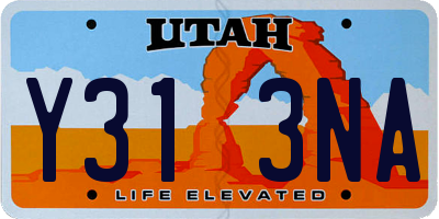 UT license plate Y313NA