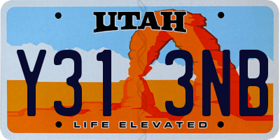 UT license plate Y313NB