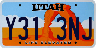 UT license plate Y313NJ