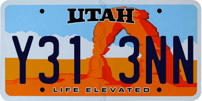 UT license plate Y313NN