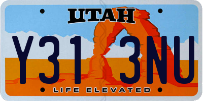 UT license plate Y313NU