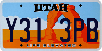 UT license plate Y313PB
