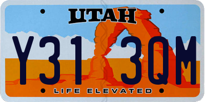 UT license plate Y313QM