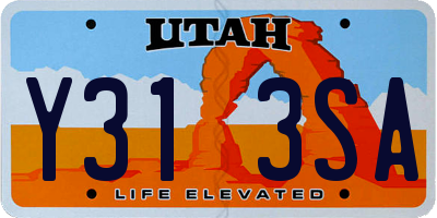 UT license plate Y313SA