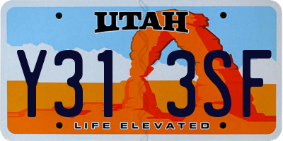 UT license plate Y313SF