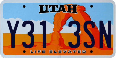 UT license plate Y313SN