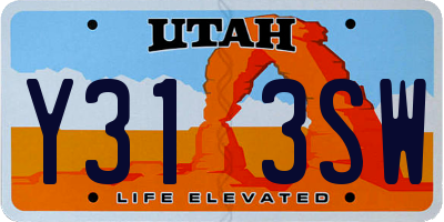UT license plate Y313SW