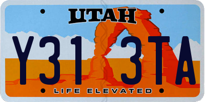 UT license plate Y313TA