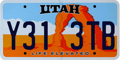 UT license plate Y313TB