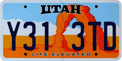 UT license plate Y313TD