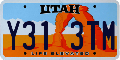 UT license plate Y313TM