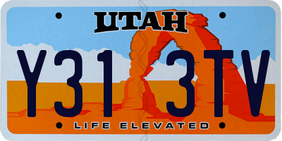UT license plate Y313TV
