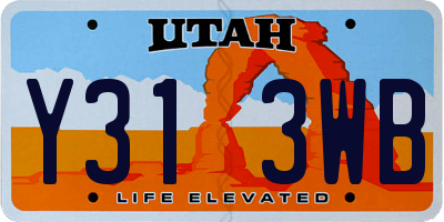 UT license plate Y313WB