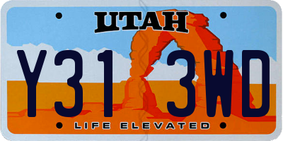 UT license plate Y313WD