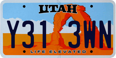 UT license plate Y313WN