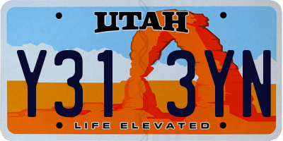 UT license plate Y313YN