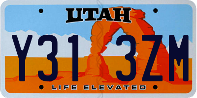 UT license plate Y313ZM