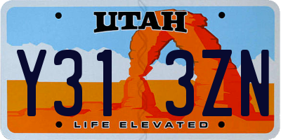 UT license plate Y313ZN
