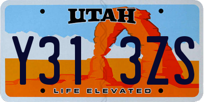 UT license plate Y313ZS