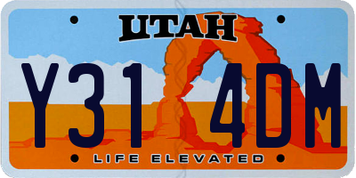 UT license plate Y314DM