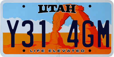 UT license plate Y314GM
