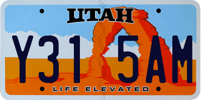 UT license plate Y315AM