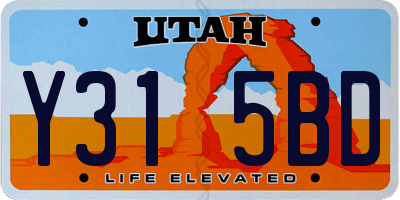UT license plate Y315BD