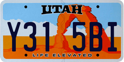 UT license plate Y315BI