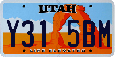 UT license plate Y315BM