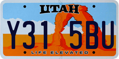 UT license plate Y315BU