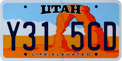UT license plate Y315CD