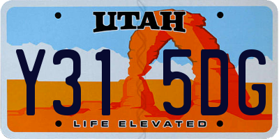 UT license plate Y315DG