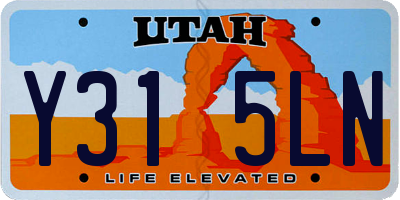 UT license plate Y315LN