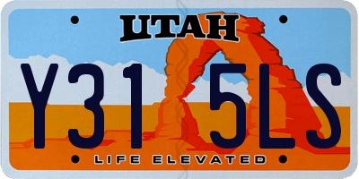 UT license plate Y315LS