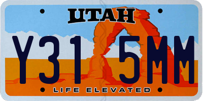 UT license plate Y315MM