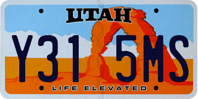 UT license plate Y315MS