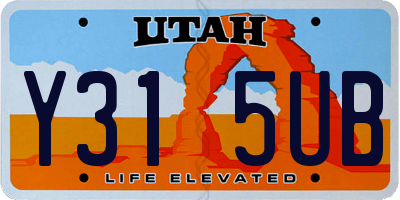 UT license plate Y315UB
