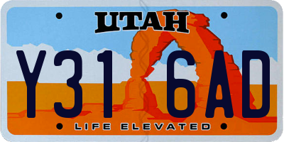 UT license plate Y316AD