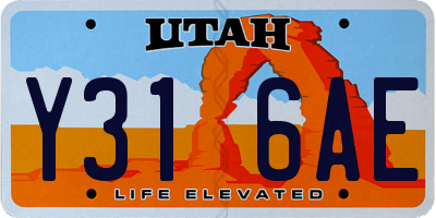 UT license plate Y316AE