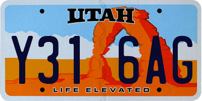 UT license plate Y316AG