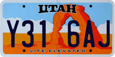UT license plate Y316AJ