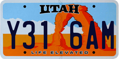 UT license plate Y316AM